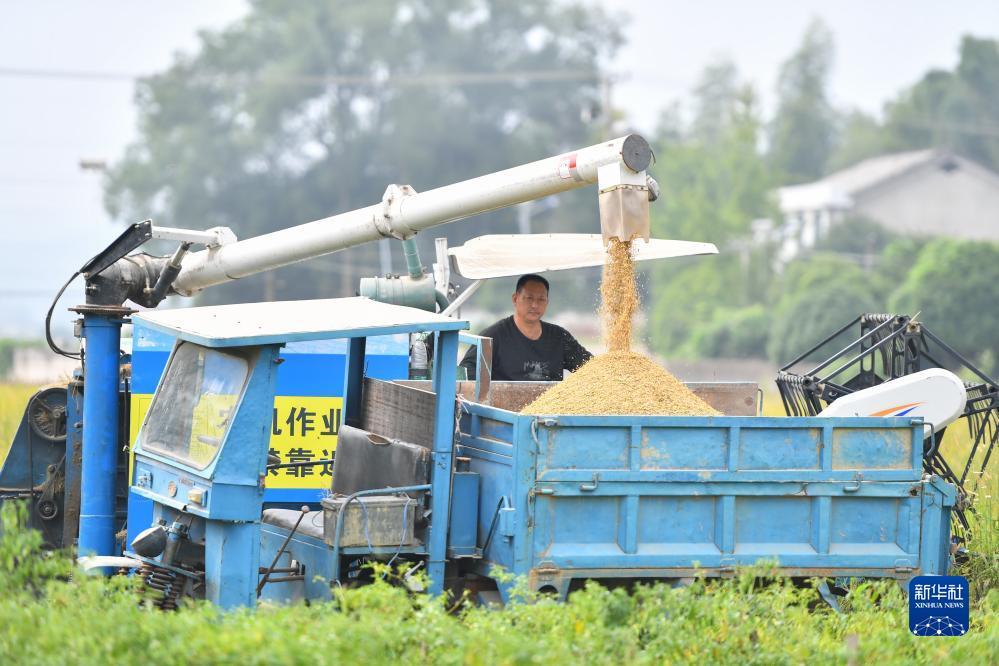 捕鱼游戏大厅